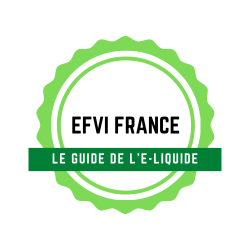 efvi france logo